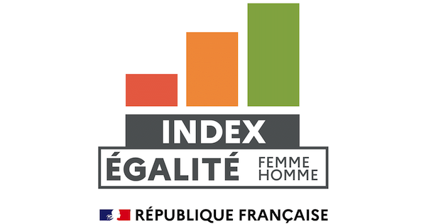 Index égalité professionnelle entre les hommes et les femmes 2022