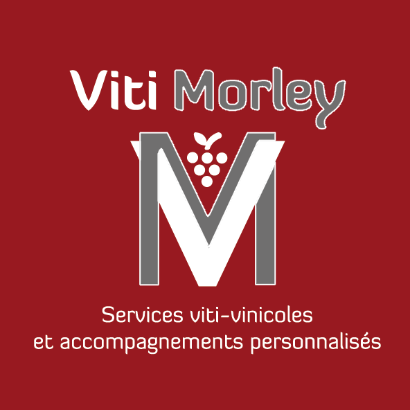 Viti Morley